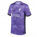 Cheap Liverpool Virgil van Dijk #4 Third Football Shirt 2023-24 Short Sleeve